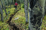 More beauty singletrack.