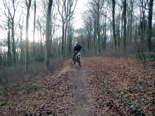 queen elizabeth country park mountain bike trails