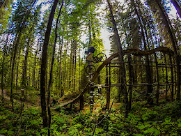 Trailforks Trail of the Month: Kitchen Sink