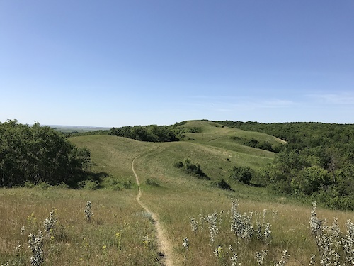 Brandon Hills Mountain Bike Trails Trailforks