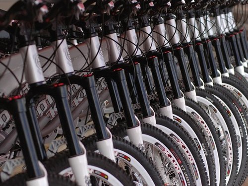 The rental bikes.